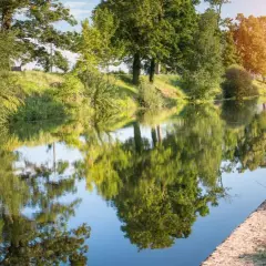 Spokojna rzeka odbija zielone drzewa. To krajobraz wzdłuż najdłuższej rzeki Francji, gdzie natura tworzy malownicze refleksy.