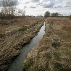 Jakie rzeki płyną przez Łódź? Odkryj ich tajemnice i znaczenie