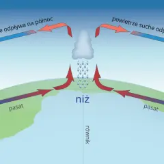 Schemat pokazuje, jak powstaje wiatr: ciepłe powietrze unosi się w niżu, ochładza, a następnie odpływa w wyżach. To cyrkulacja powietrza tworzy wiatry.