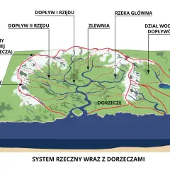 Co to jest źródło rzeki i jak wpływa na ekosystem?
