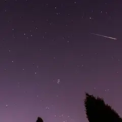 Noc spadających gwiazd. Jasny meteor przecina fioletowe niebo pełne gwiazd, nad ciemnymi sylwetkami drzew.
