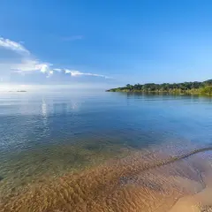 Spokojne, **duże jezioro w Afryce** z piaszczystym brzegiem i bujną zielenią w oddali.