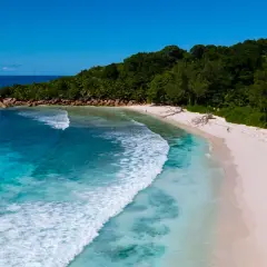 Rajska plaża z turkusowym oceanem indyjskim, białym piaskiem i bujną zielenią.