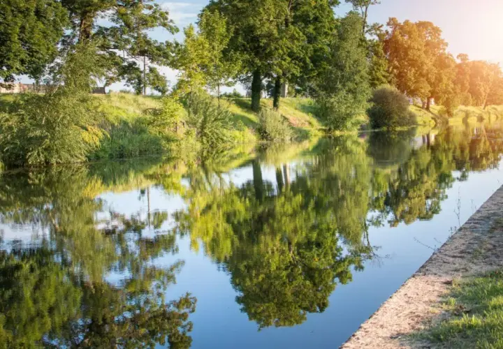 Spokojna rzeka odbija zielone drzewa. To krajobraz wzdłuż najdłuższej rzeki Francji, gdzie natura tworzy malownicze refleksy.