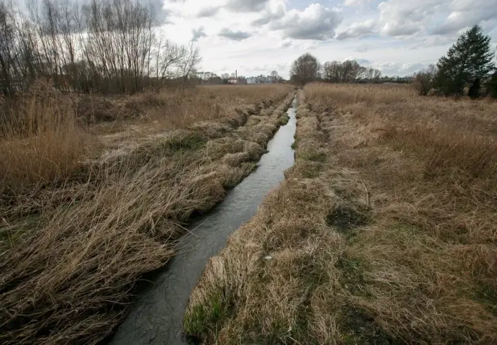 Jakie rzeki płyną przez Łódź? Odkryj ich tajemnice i znaczenie