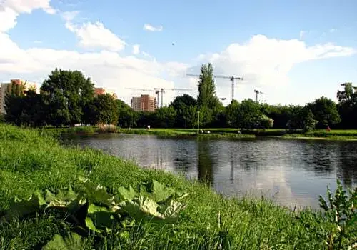 Jezioro Gocławskie: tajemnice, ekologia i kontrowersje w Warszawie