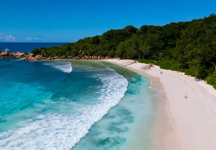 Rajska plaża z turkusowym oceanem indyjskim, białym piaskiem i bujną zielenią.