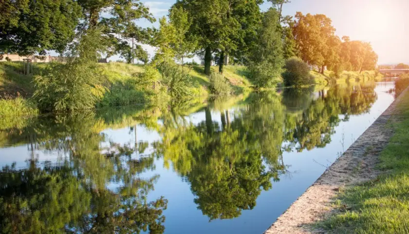 Spokojna rzeka odbija zielone drzewa. To krajobraz wzdłuż najdłuższej rzeki Francji, gdzie natura tworzy malownicze refleksy.