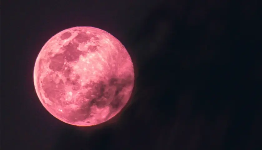 Pełnia różowego księżyca rozświetla nocne niebo, ukazując swoje kratery i morza.
