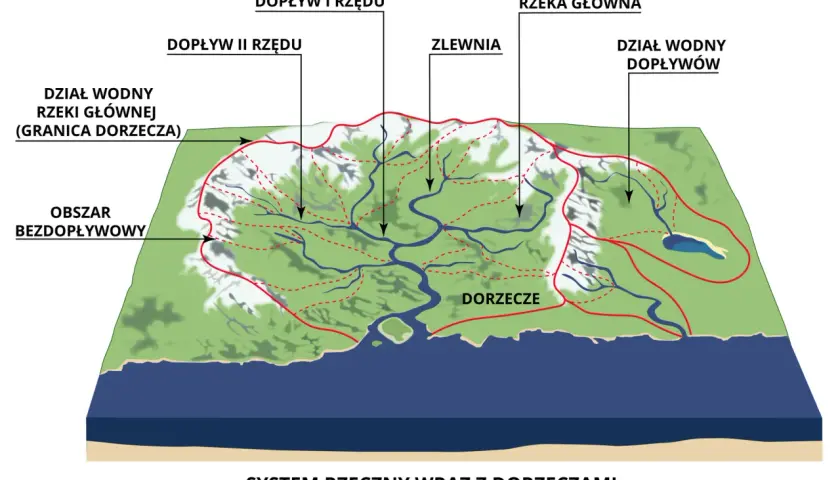 Co to jest źródło rzeki i jak wpływa na ekosystem?