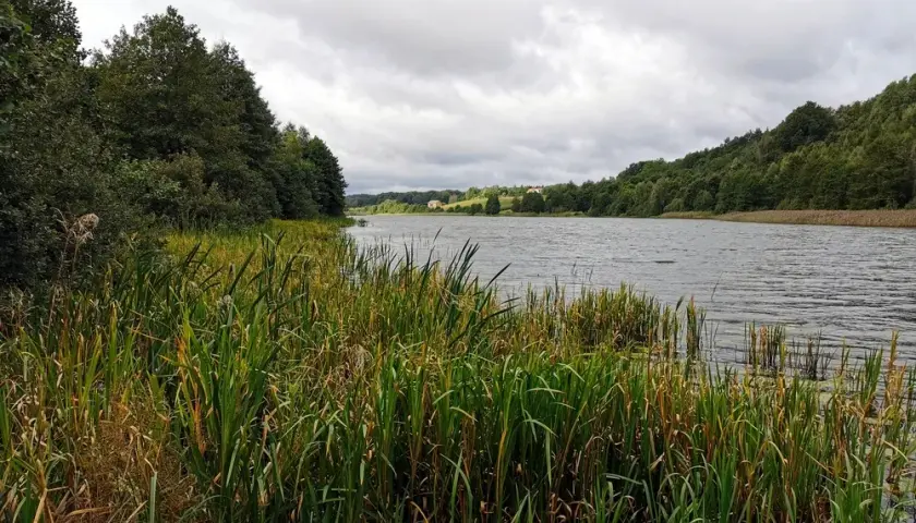 Jezioro Kczewskie - idealne miejsce na wędkowanie i relaks w naturze