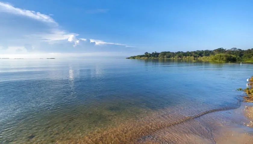 Spokojne, **duże jezioro w Afryce** z piaszczystym brzegiem i bujną zielenią w oddali.