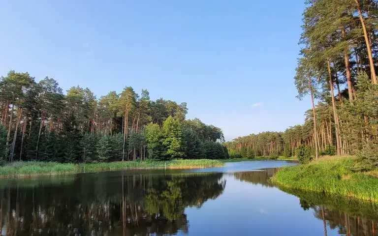 Czarnków atrakcje: najlepsze miejsca dla rodzin i miłośników przyrody