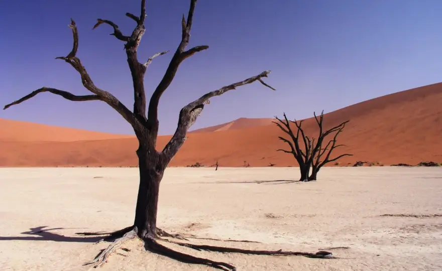 Najstarsza pustynia świata - Namib, mity i zaskakujące fakty