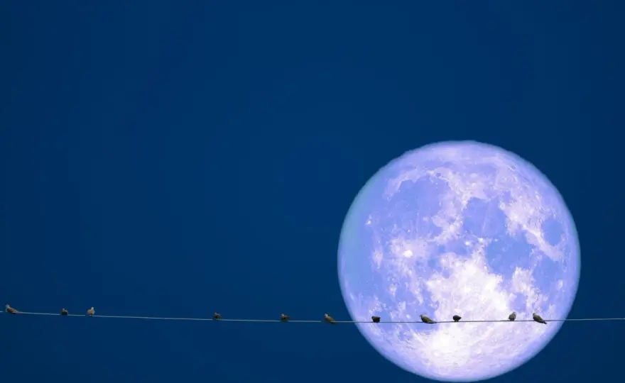 Majowa Pełnia Księżyca 2026 - Dwie pełnie i Blue Moon!