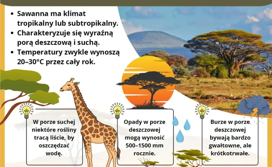 Sawanna - Jak zrozumieć jej klimat i czytać w podróży?