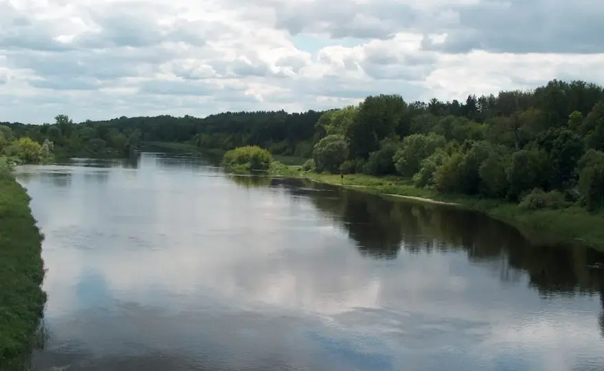Przez jakie miasta przepływa rzeka Narew? Odkryj fascynujące miejsca