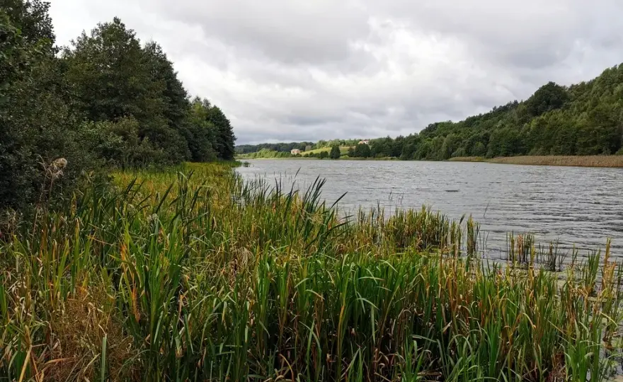 Jezioro Kczewskie - idealne miejsce na wędkowanie i relaks w naturze