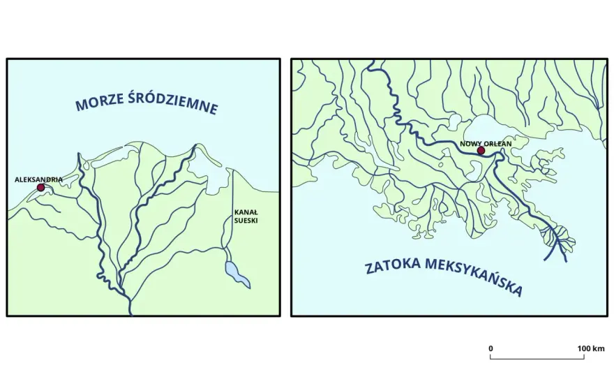 Delta rzeki - jak powstaje i czym różni się od estuarium?