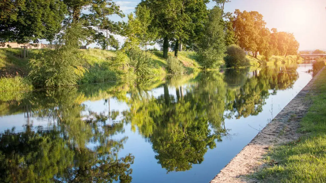 Spokojna rzeka odbija zielone drzewa. To krajobraz wzdłuż najdłuższej rzeki Francji, gdzie natura tworzy malownicze refleksy.