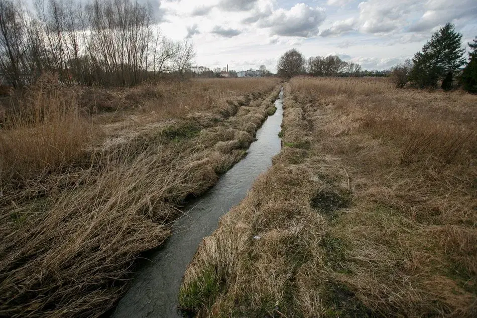 Jakie rzeki płyną przez Łódź? Odkryj ich tajemnice i znaczenie