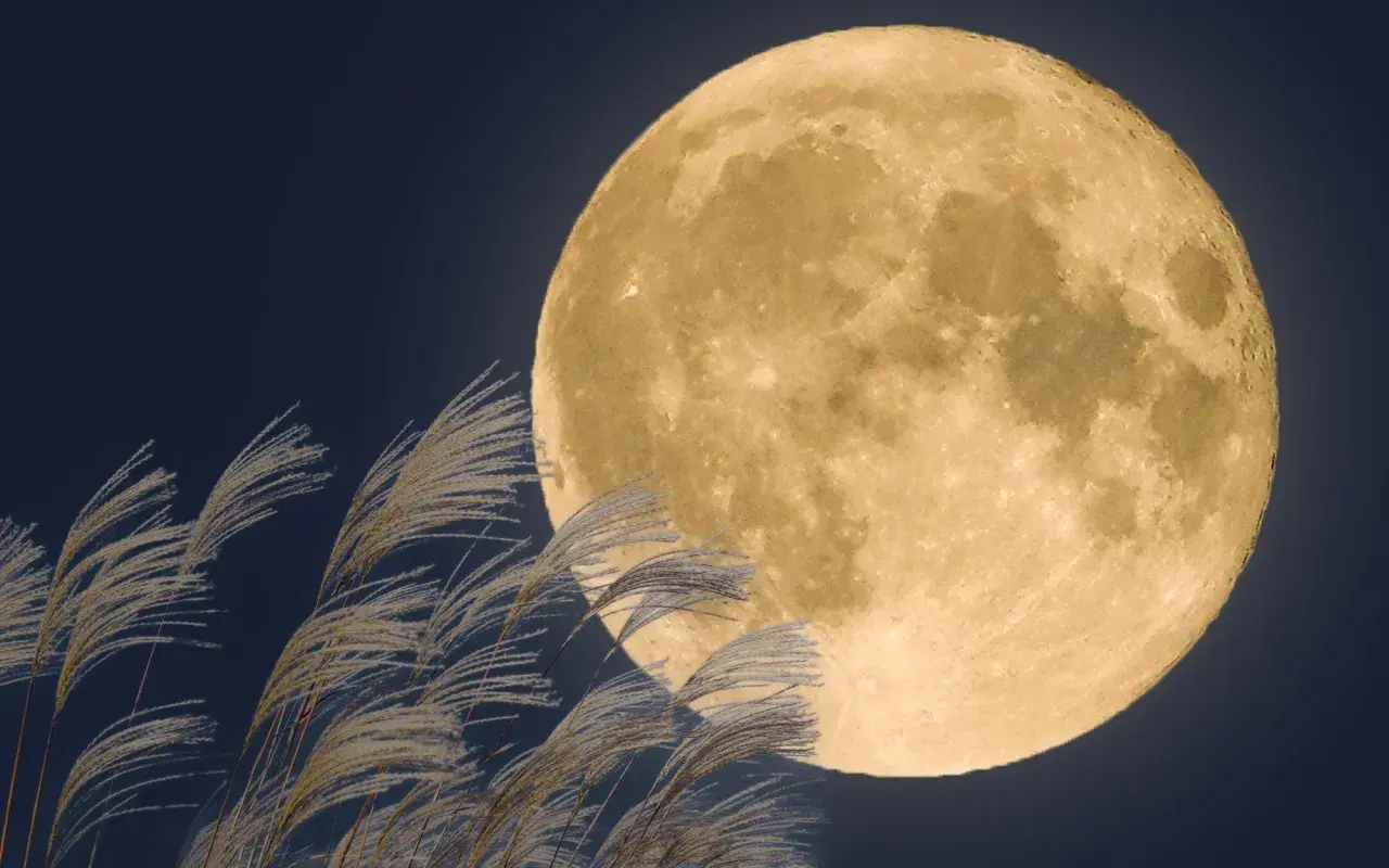 Pełnia w marcu nad polami traw. Jasna tarcza księżyca oświetla nocne niebo, a wiatr porusza delikatne źdźbła.