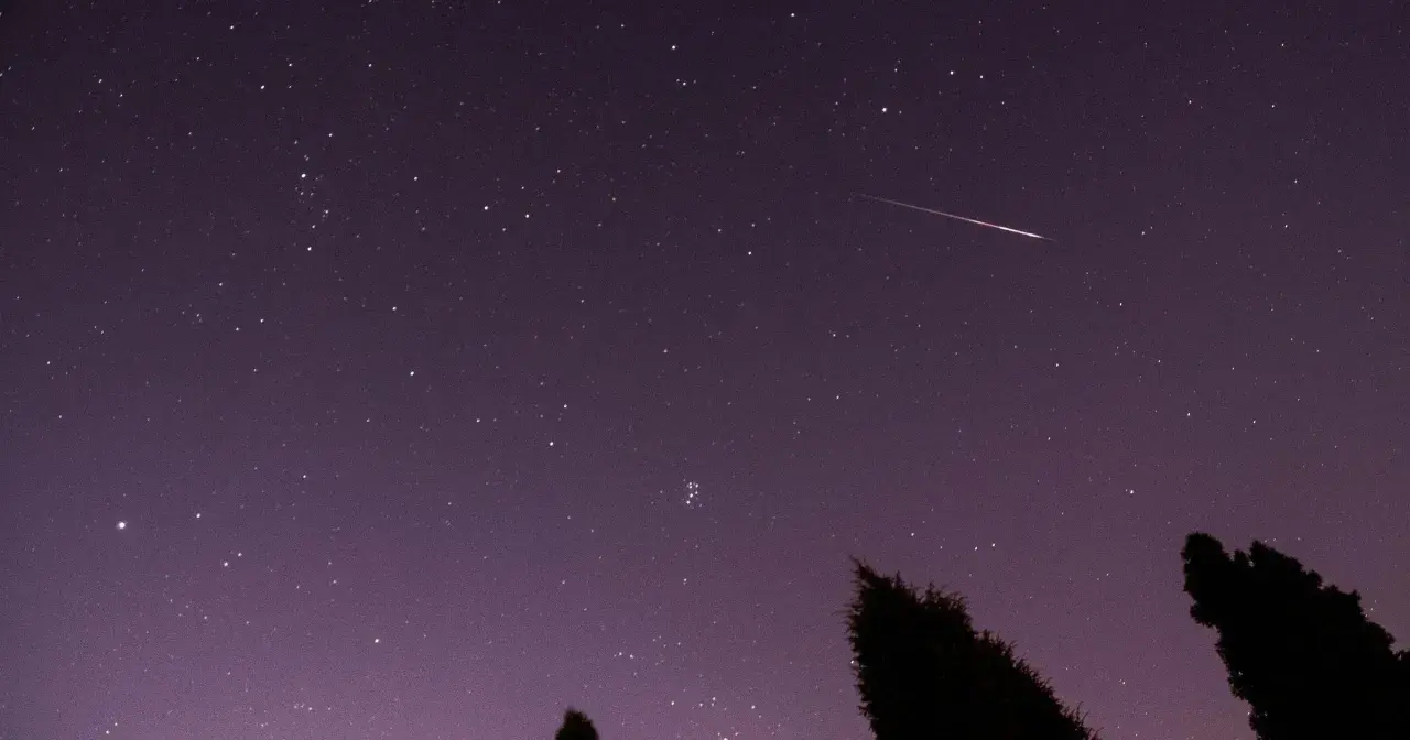 Noc spadających gwiazd. Jasny meteor przecina fioletowe niebo pełne gwiazd, nad ciemnymi sylwetkami drzew.