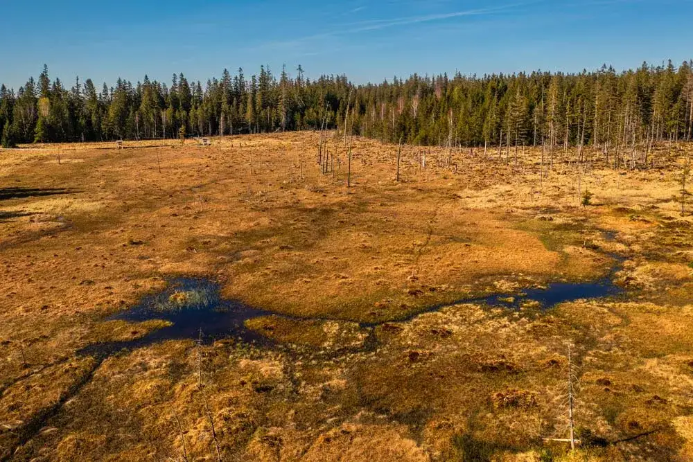Zdjęcie Jezioro Babskie &ndash; odkryj ukryte skarby natury i rekreacji