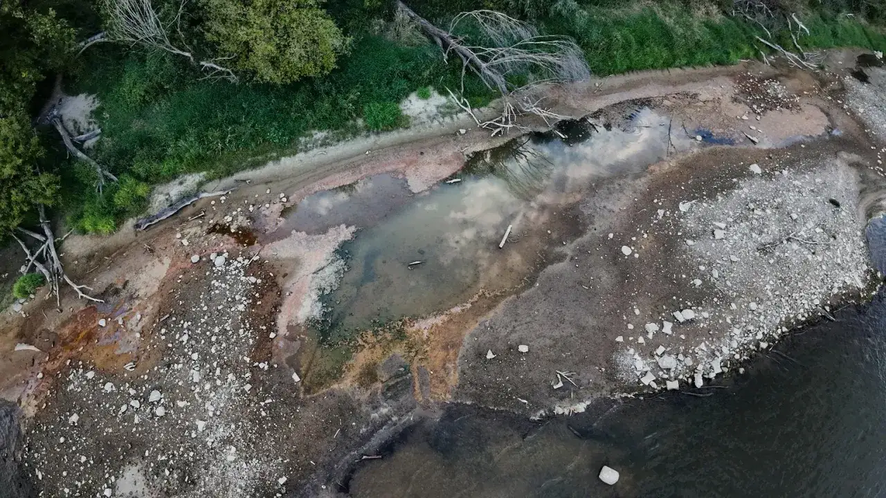 Brzeg rzeki z wyschniętą ziemią i martwymi drzewami, widoczne ślady zmian klimatycznych.