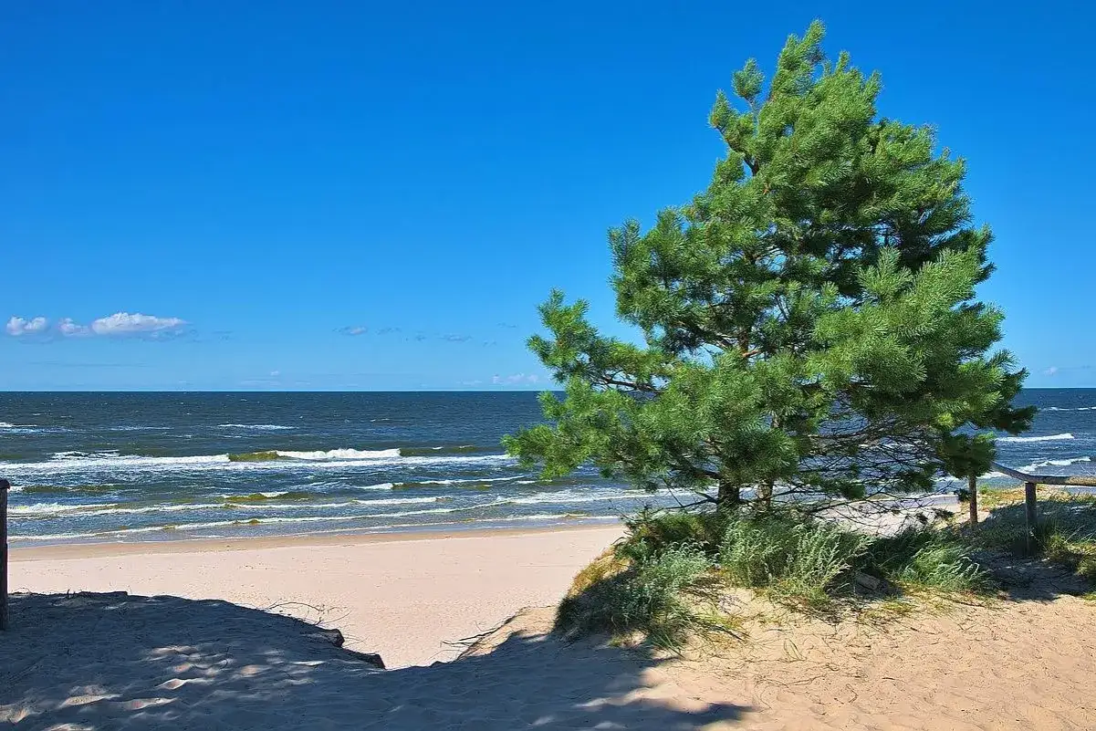 Piękna plaża i morze, idealne miejsce na regenerację. Marzy Ci się dobre sanatorium nad morzem NFZ? To widok, który może Cię tam zabrać.