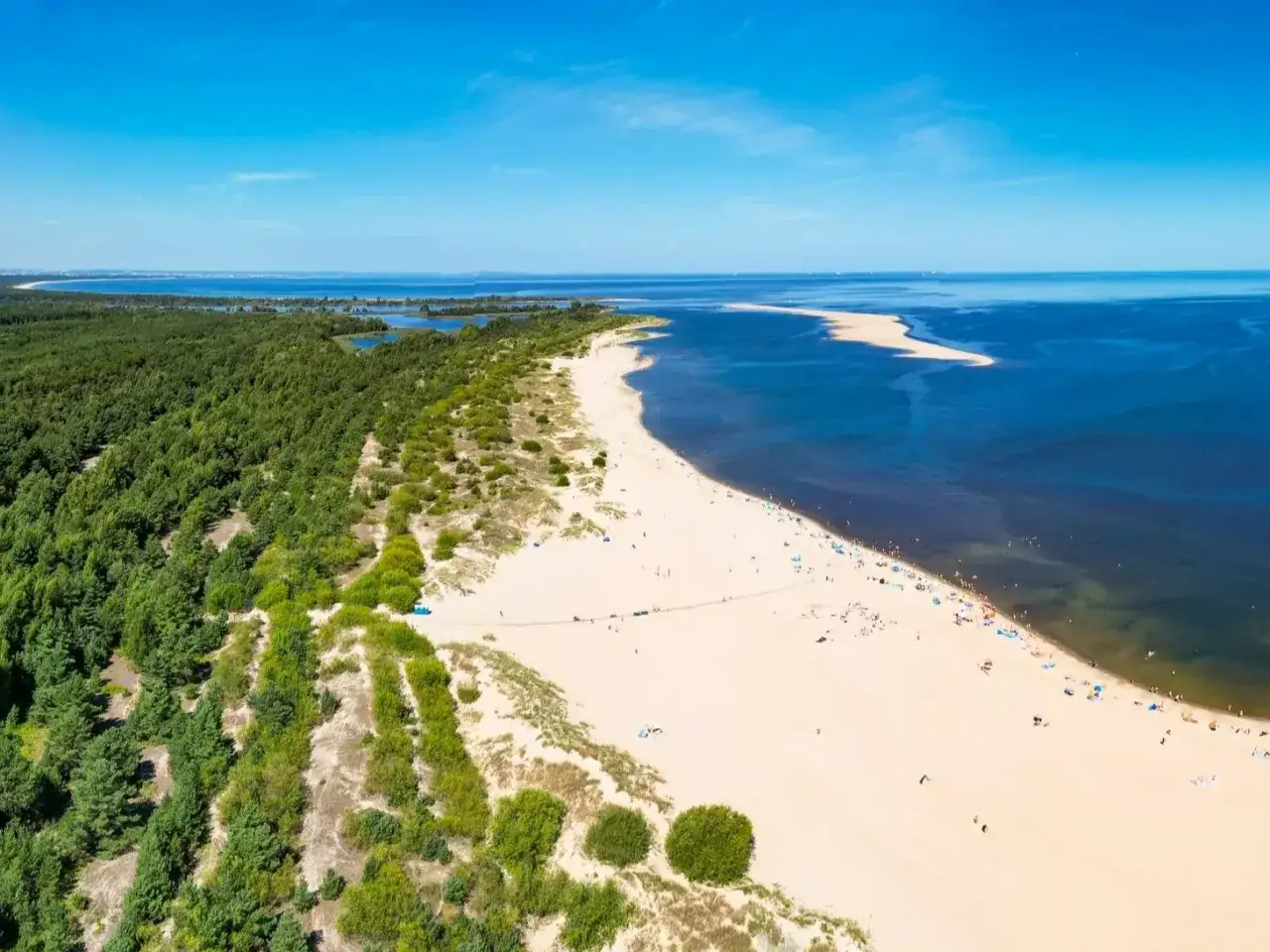 Plaża na polskiej wyspie, z zielonym lasem sosnowym po lewej i turkusową wodą po prawej. Ludzie odpoczywają na piasku.